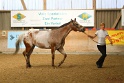 24-ApHC HIH_077